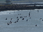 FZ005754 Surfers Coney Beach, Porthcawl.jpg
